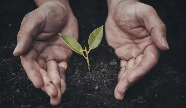 🌍 Journée de la Terre : agir là où ça compte vraiment 🌍 Journée de la Terre : agir là où ça compte vraiment